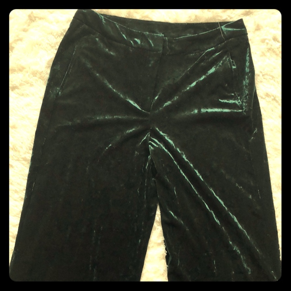 Dress pants for the holiday or not